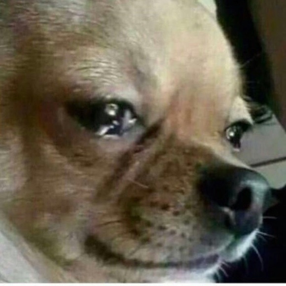 Meet your Posher, Kevin - Picture 1 of 1